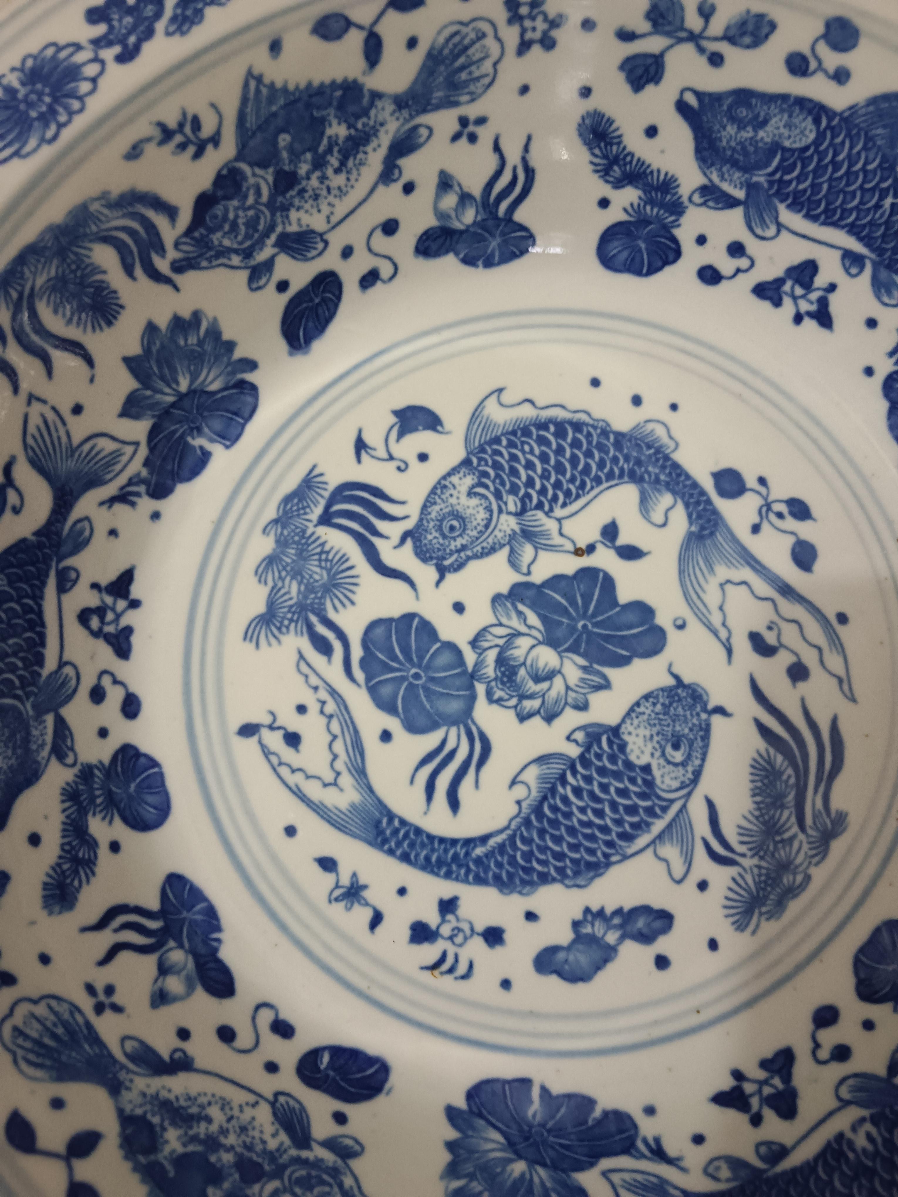 中国青花元染付花卉魚藻文盤大皿飾皿V R4174B 美術品お土産商品